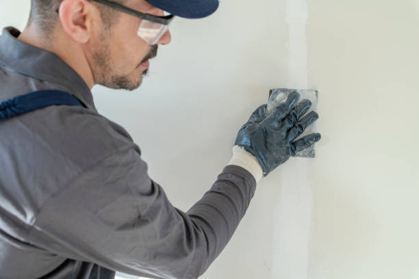 Mold Remediation for Rental Properties in Westwood Shores, TX